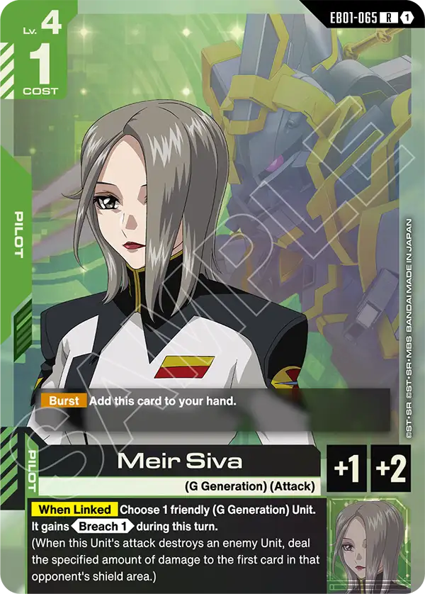 Meir Siva EB01-065