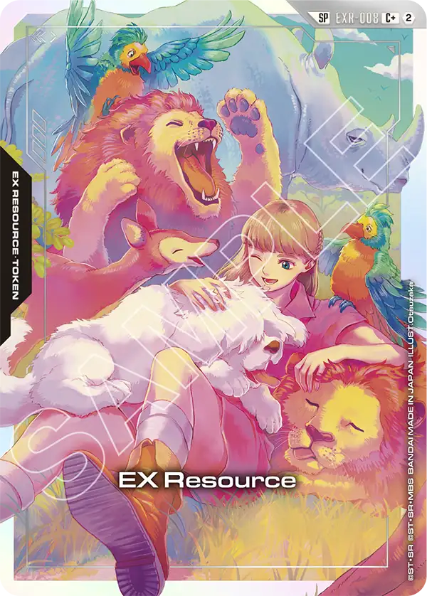 EX Resource EXR-008