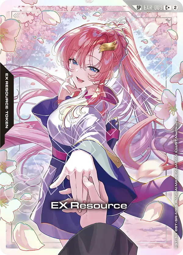 EX Resource EXR-009
