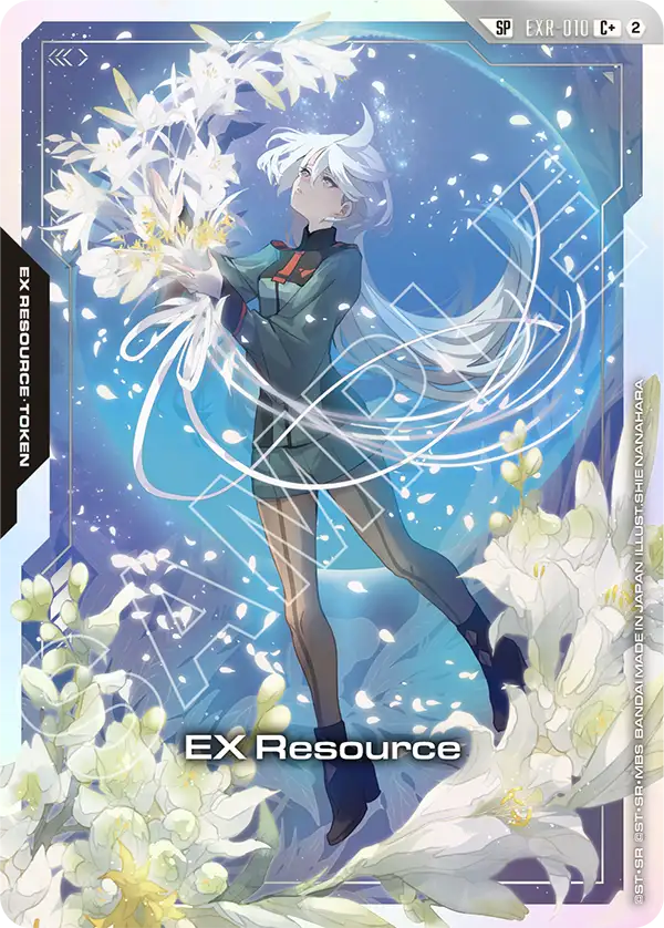 EX Resource EXR-010