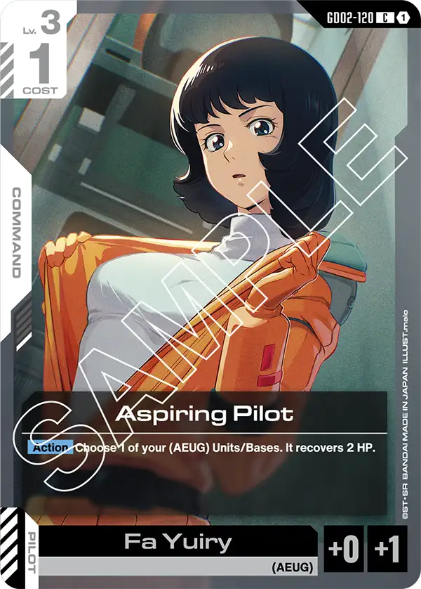 Aspiring Pilot GD02-120