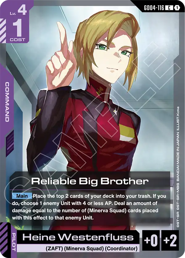 Reliable Big Brother GD04-116
