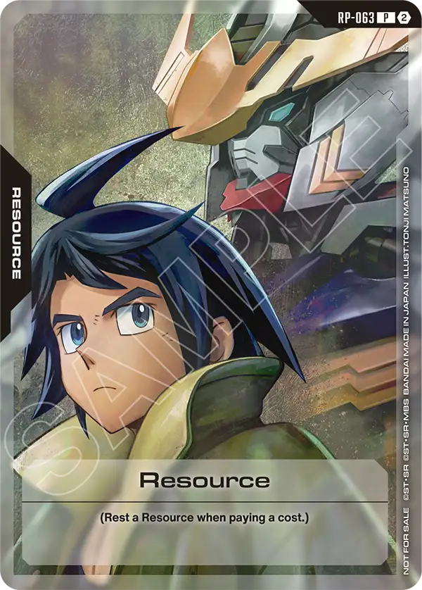 Resource RP-063