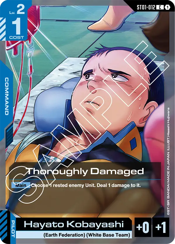 Thoroughly Damaged ST01-012