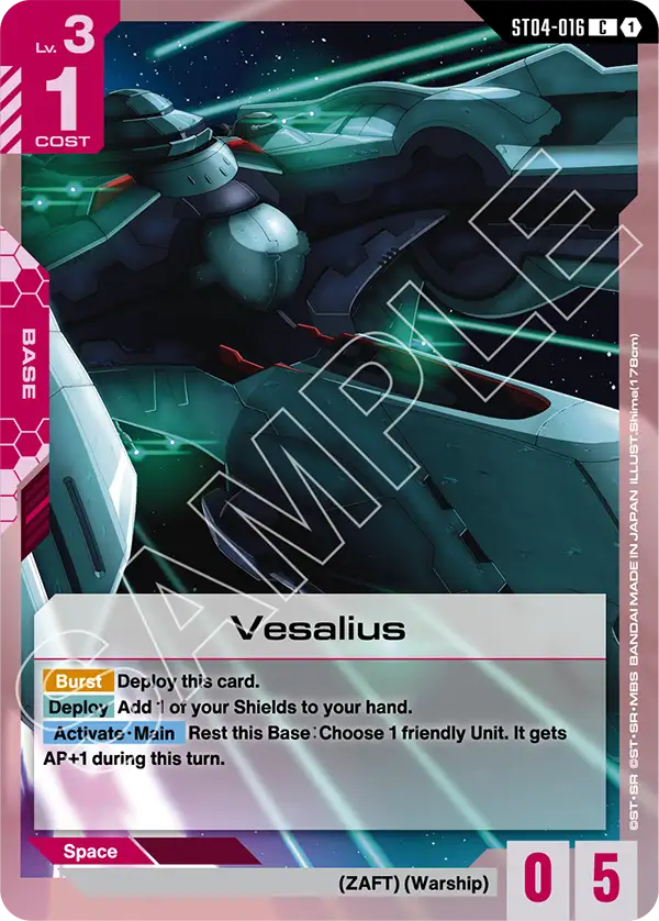 Vesalius ST04-016