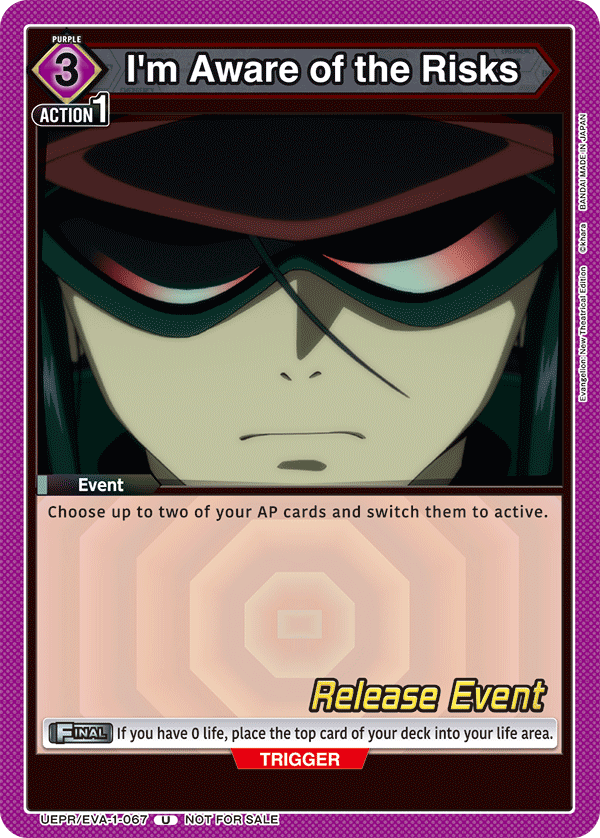 I'm Aware of the Risks UEPR/EVA-1-067