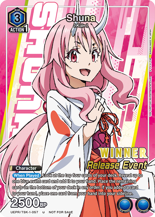 UEPR/TSK-1-057 Shuna UEPR/TSK-1-057_p2