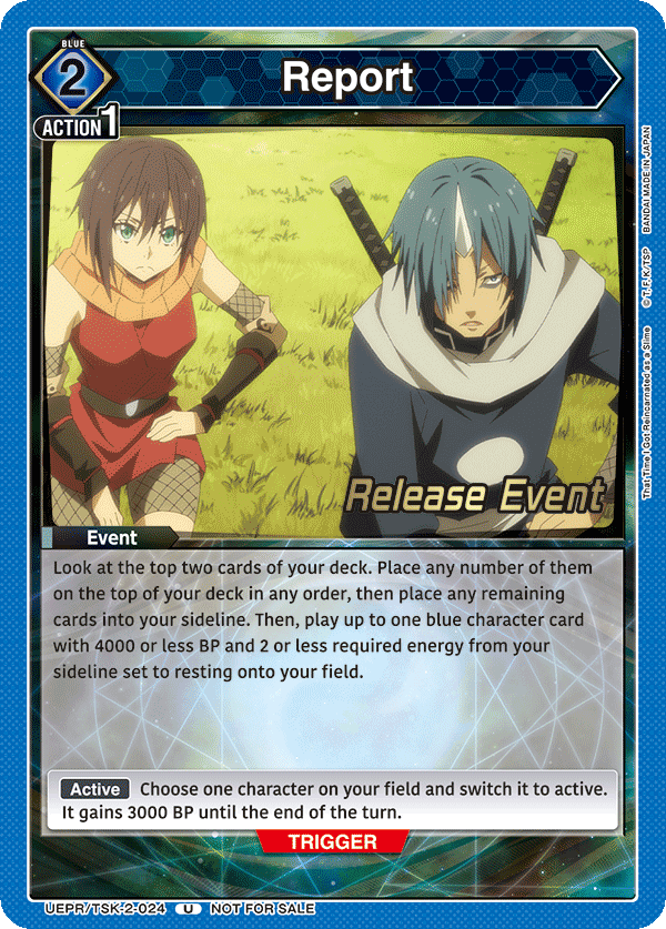 Report UEPR/TSK-2-024