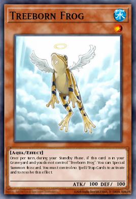 Treeborn Frog DUSA-EN058