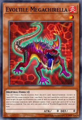 Evoltile Megachirella CHIM-EN020