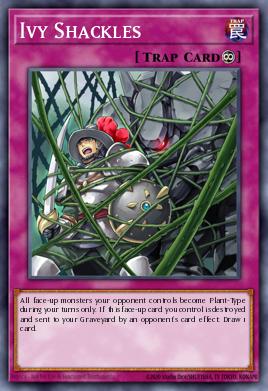 Ivy Shackles DT02-EN098