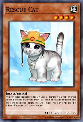Rescue Cat DUSA-EN072