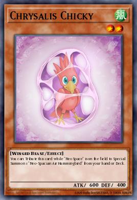 Chrysalis Chicky TAEV-EN008