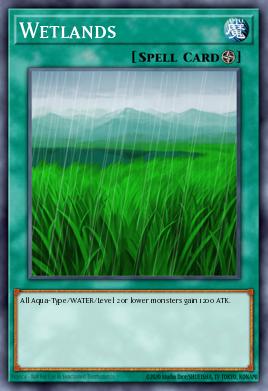 Wetlands LODT-EN054