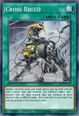 Cross Breed CYHO-EN066