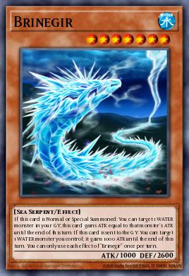 Brinegir CHIM-EN026