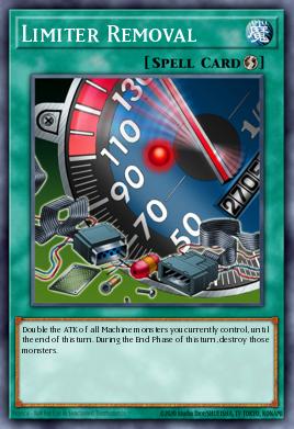 Limiter Removal SDKS-EN028