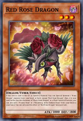 Red Rose Dragon LED4-EN025