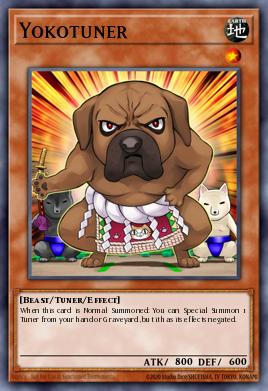 Yokotuner RATE-EN031