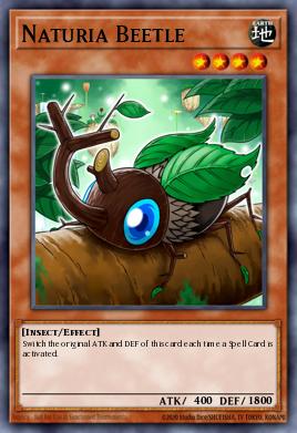 Naturia Beetle DT02-EN007