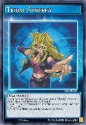 Tribal Synergy SS02-ENCS3