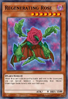 Regenerating Rose PTDN-EN005