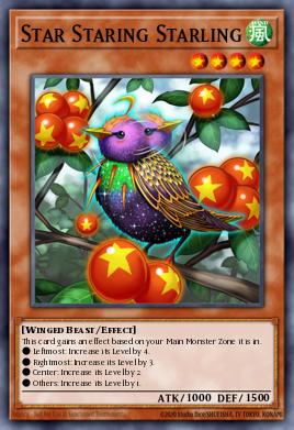 Star Staring Starling DANE-EN024