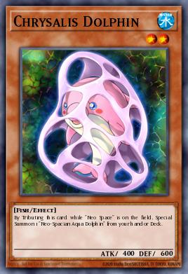 Chrysalis Dolphin POTD-EN006