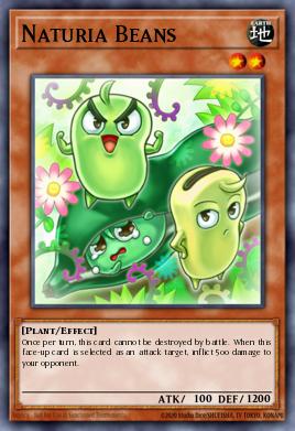 Naturia Beans DREV-EN028