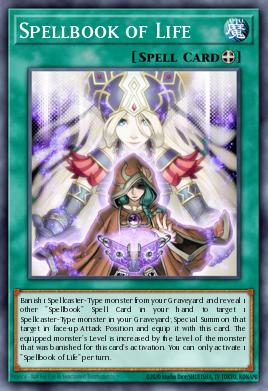 Spellbook of Life REDU-EN059
