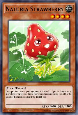 Naturia Strawberry HA04-EN021