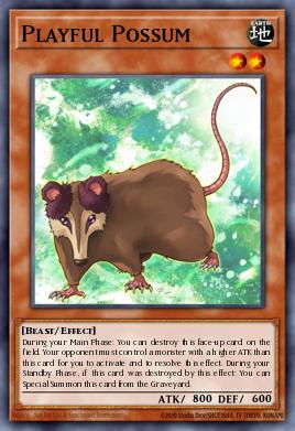Playful Possum DREV-EN007