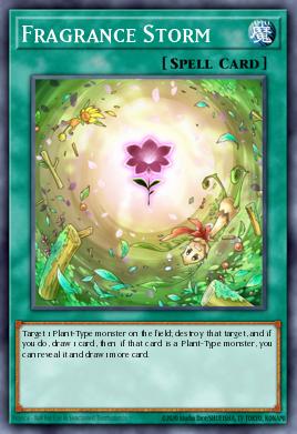 Fragrance Storm CSOC-EN058