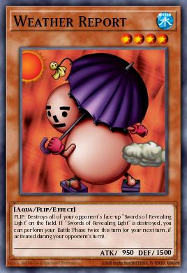 Weather Report MRL-020