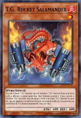 T.G. Rocket Salamander AGOV-EN003