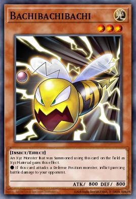 Bachibachibachi LTGY-EN001