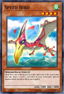 Speed Bird YS11-EN008