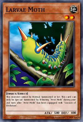 Larvae Moth MRD-007