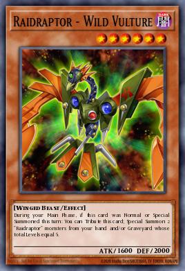 Raidraptor - Wild Vulture DOCS-EN013