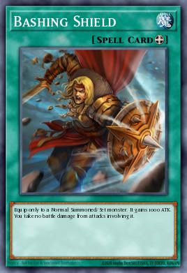 Bashing Shield STP3-EN028