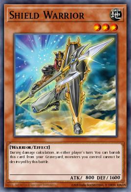Shield Warrior TDGS-EN005