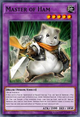 Master of Ham PHNI-EN040