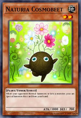 Naturia Cosmobeet DT02-EN072