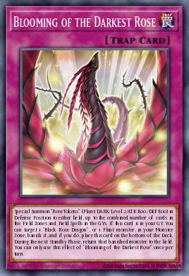 Blooming of the Darkest Rose LED4-EN027
