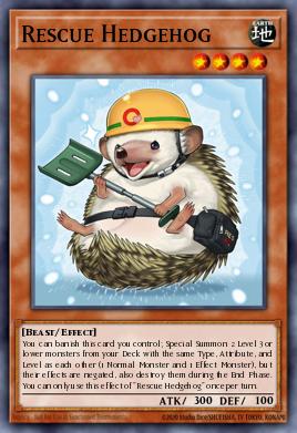 Rescue Hedgehog ROTA-EN097