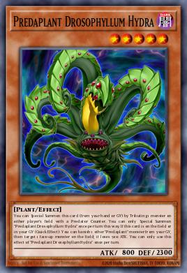 Predaplant Drosophyllum Hydra FUEN-EN002