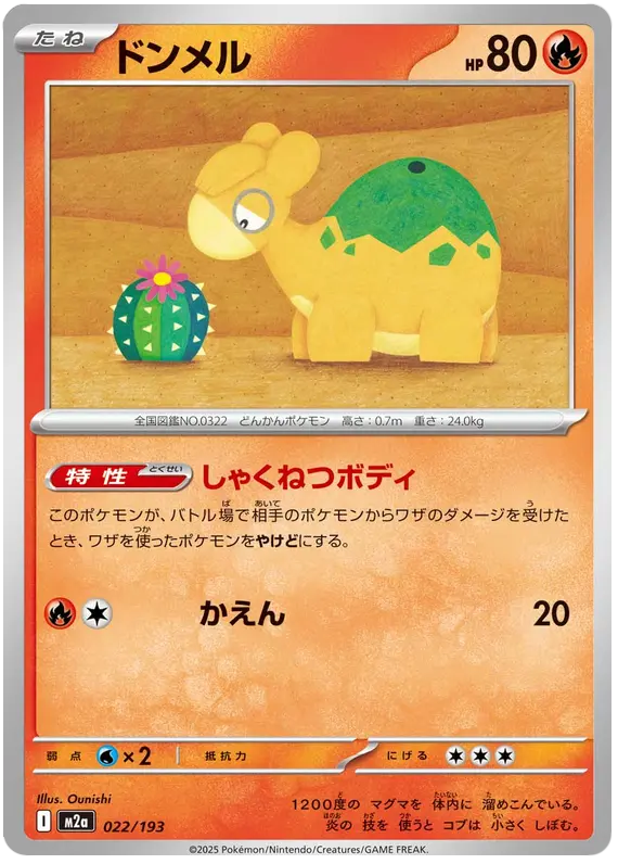 Numel 22